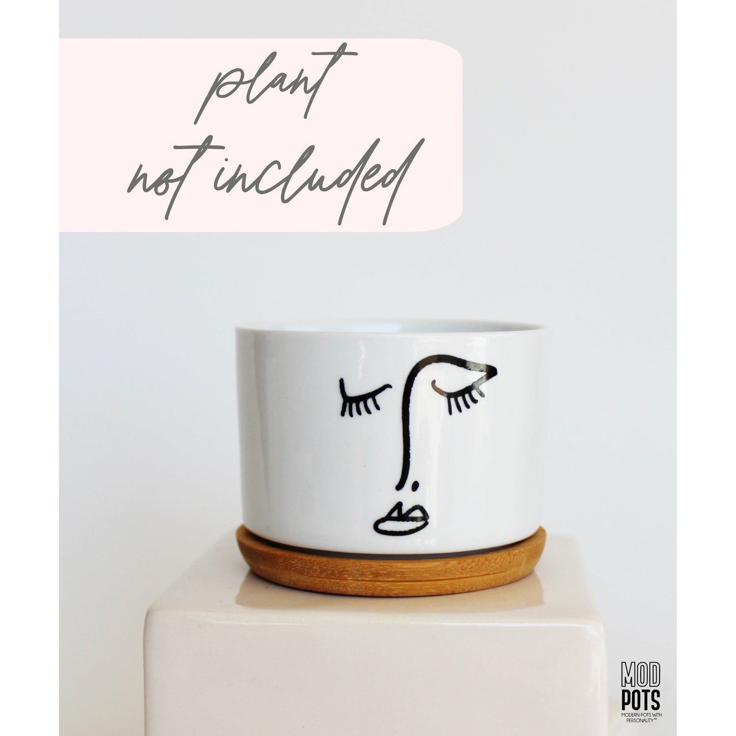 Picasso Pot