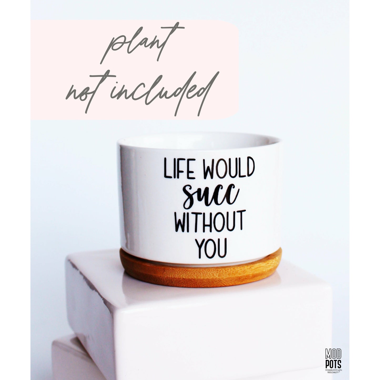 Life Would Succ Without You (Mixed Fonts)