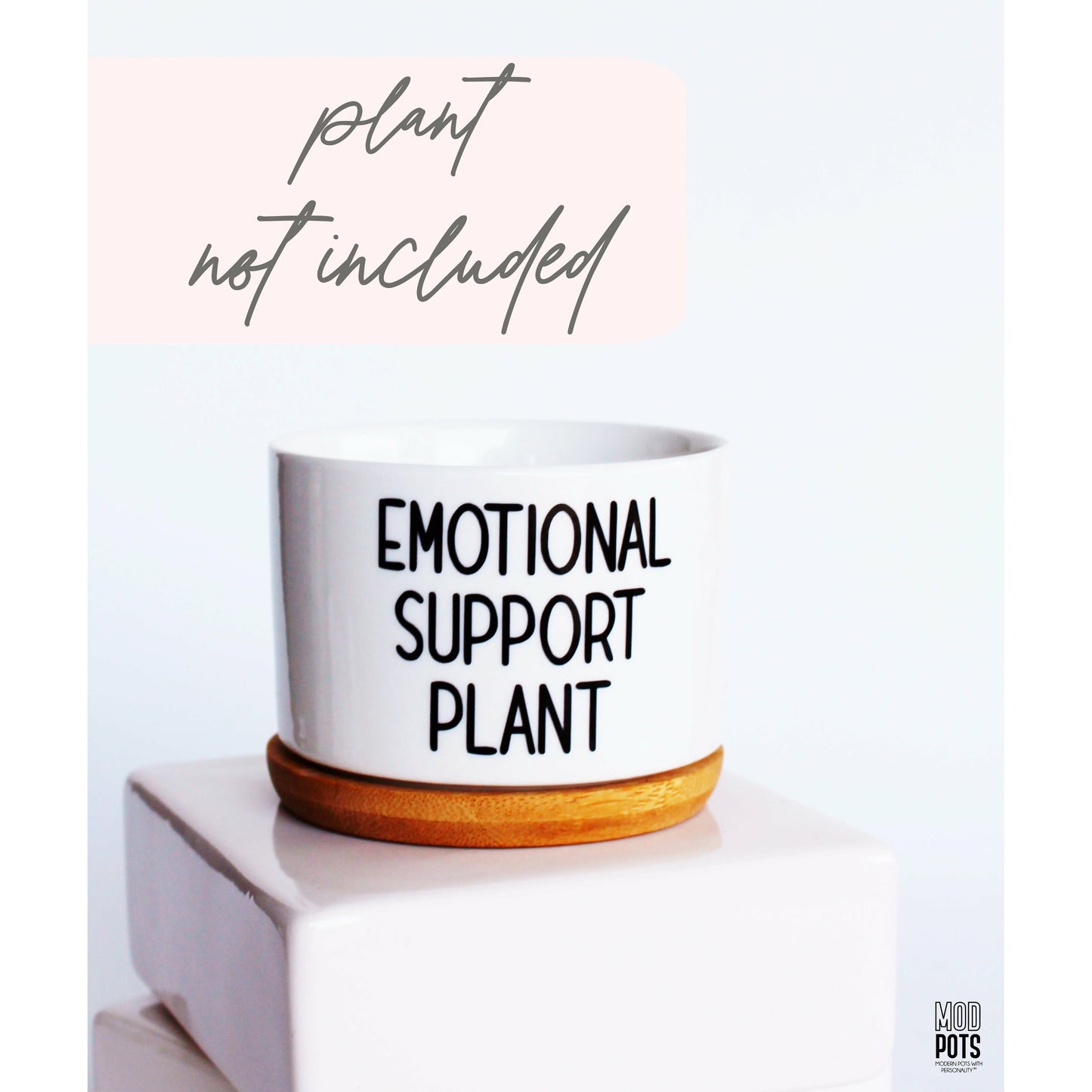 Emotional Support Plant