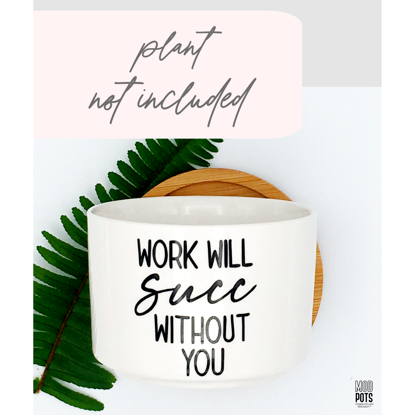 Work Will Succ Without You