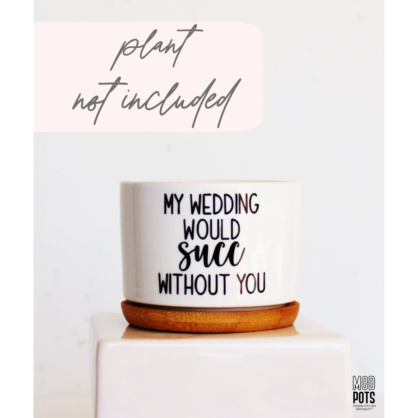 My Wedding Would Succ Without You