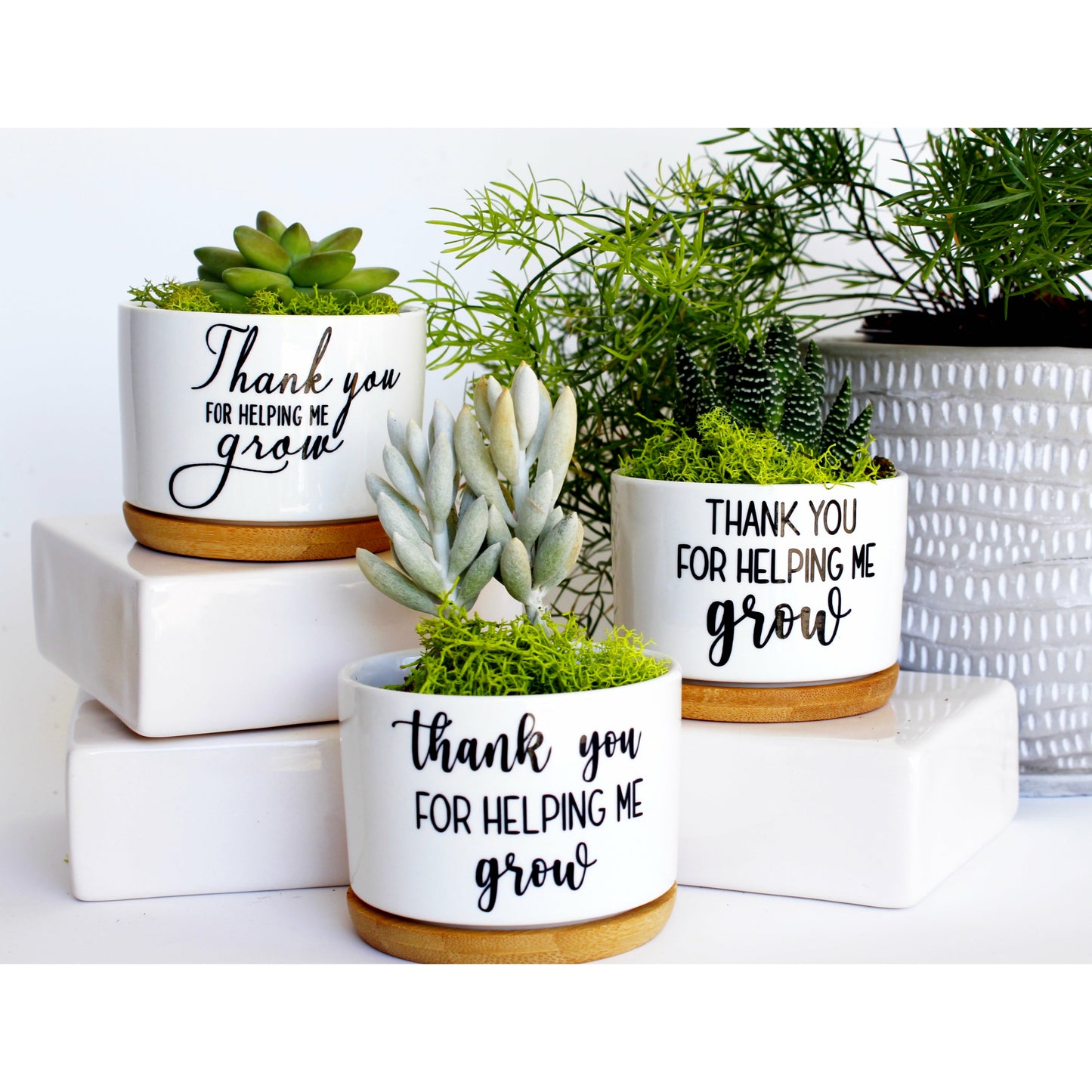 Thank You For Helping Me Grow 3