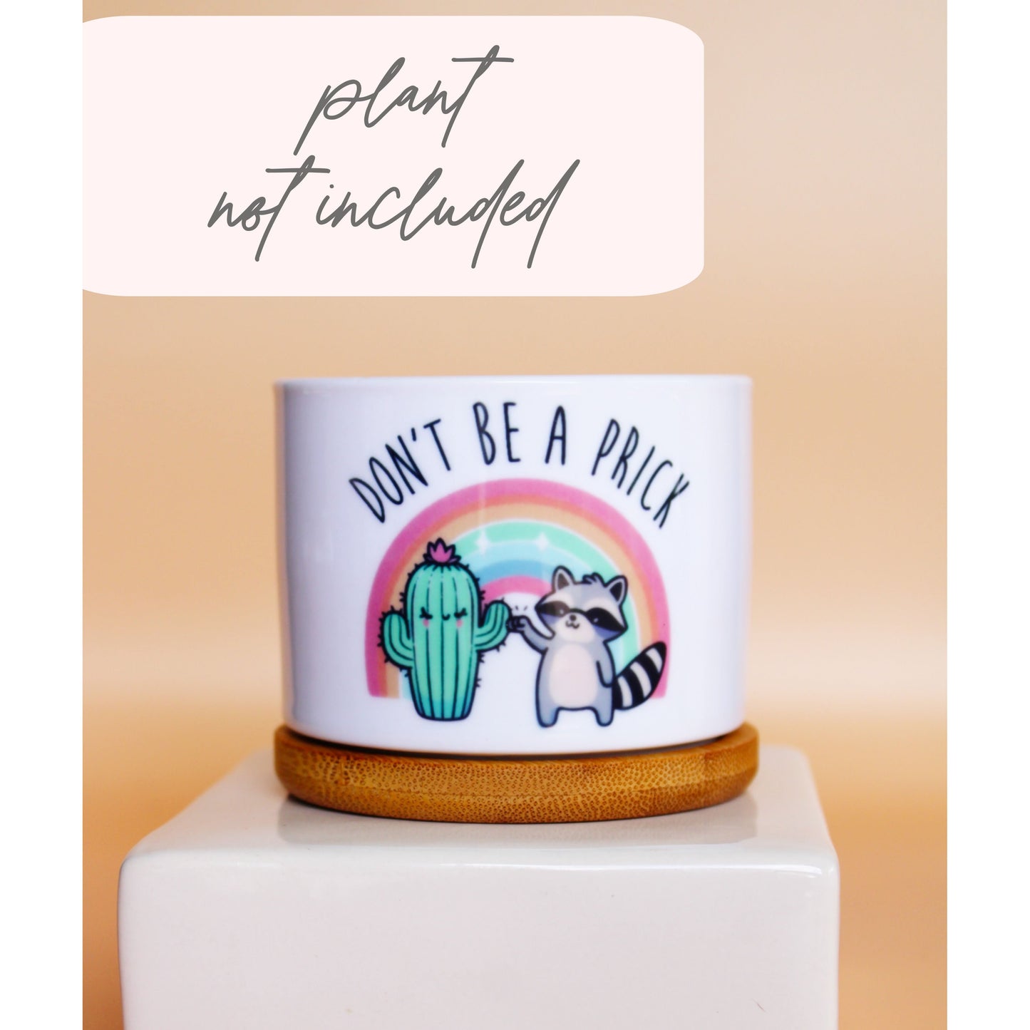 Don't Be a Prick (Raccoon & Cactus)