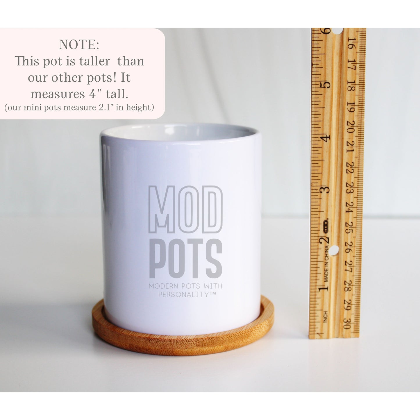 I Hope We're Friends Until We Die...Ghost Friends - Special Edition Tall Mod Pot