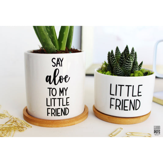 Say Aloe To My Little Friend & Little Friend Pot Set