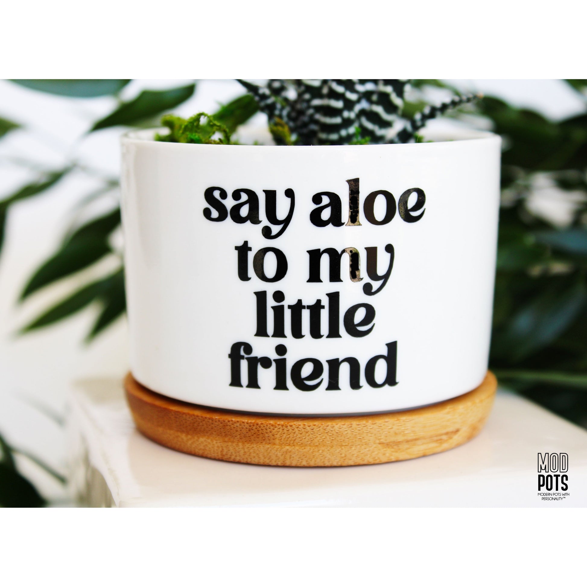 say aloe to my little friend plant pot Say Aloe To My Little Friend
