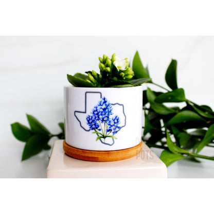 Bluebonnet & Texas Shape