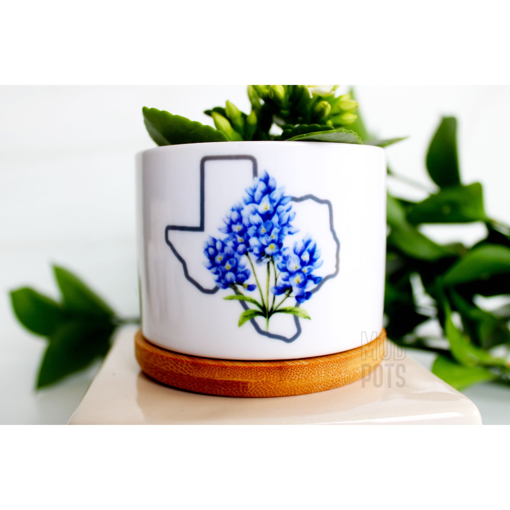 texas planter pots Bluebonnet & Texas Shape