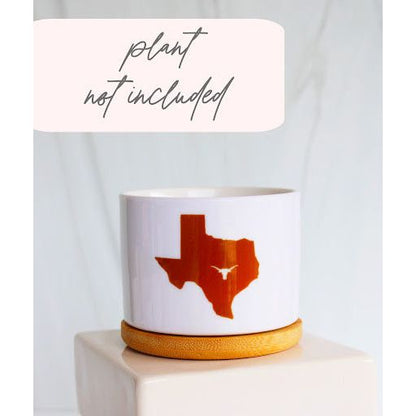 University of Texas at Austin - UT - Texas Shape & Longhorn in Austin