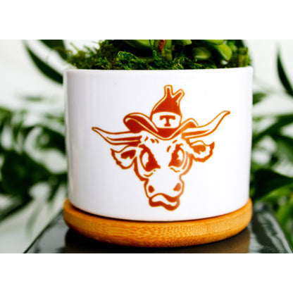 University of Texas - UT - Vintage Bevo