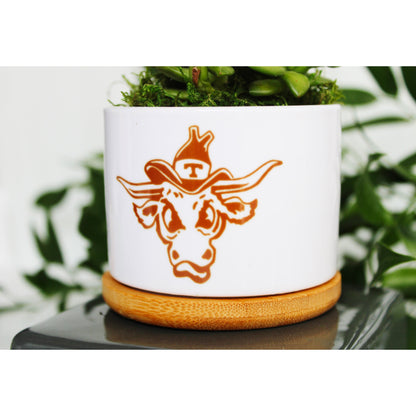 University of Texas - UT - Vintage Bevo