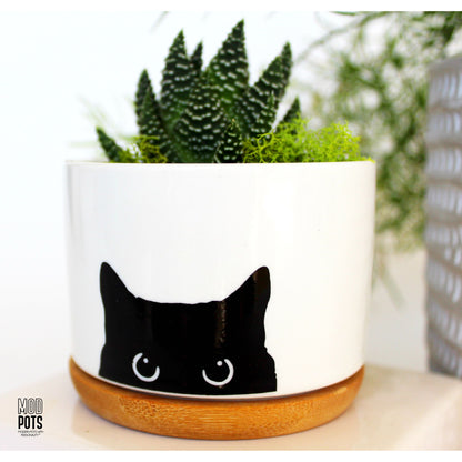 Mod Pots Cat Pot™