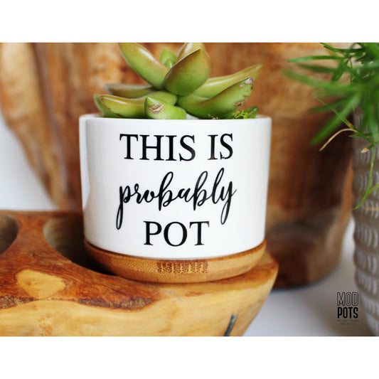 This Is Probably Pot™