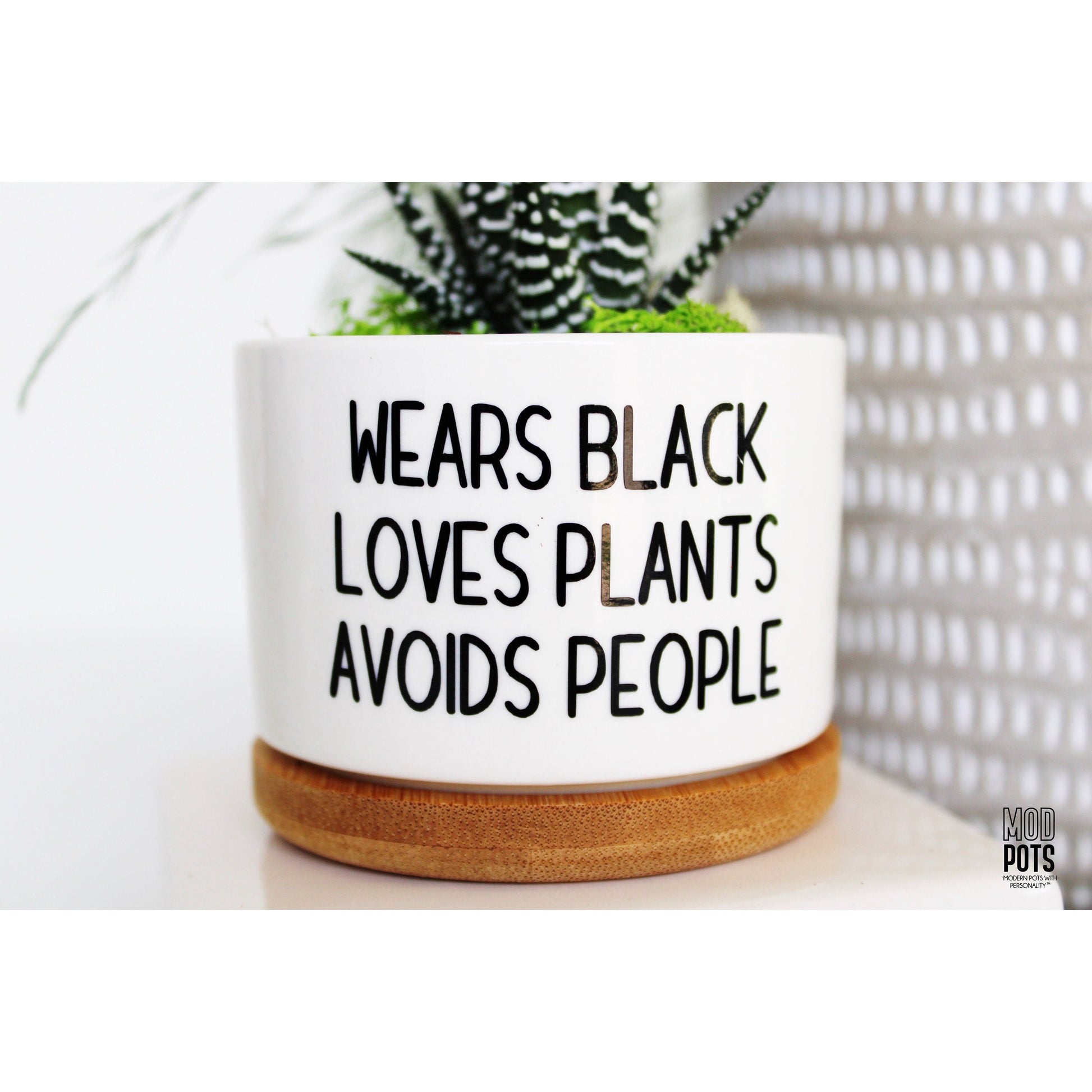 mod pots and plants Wears Black, Loves Plants, Avoids People