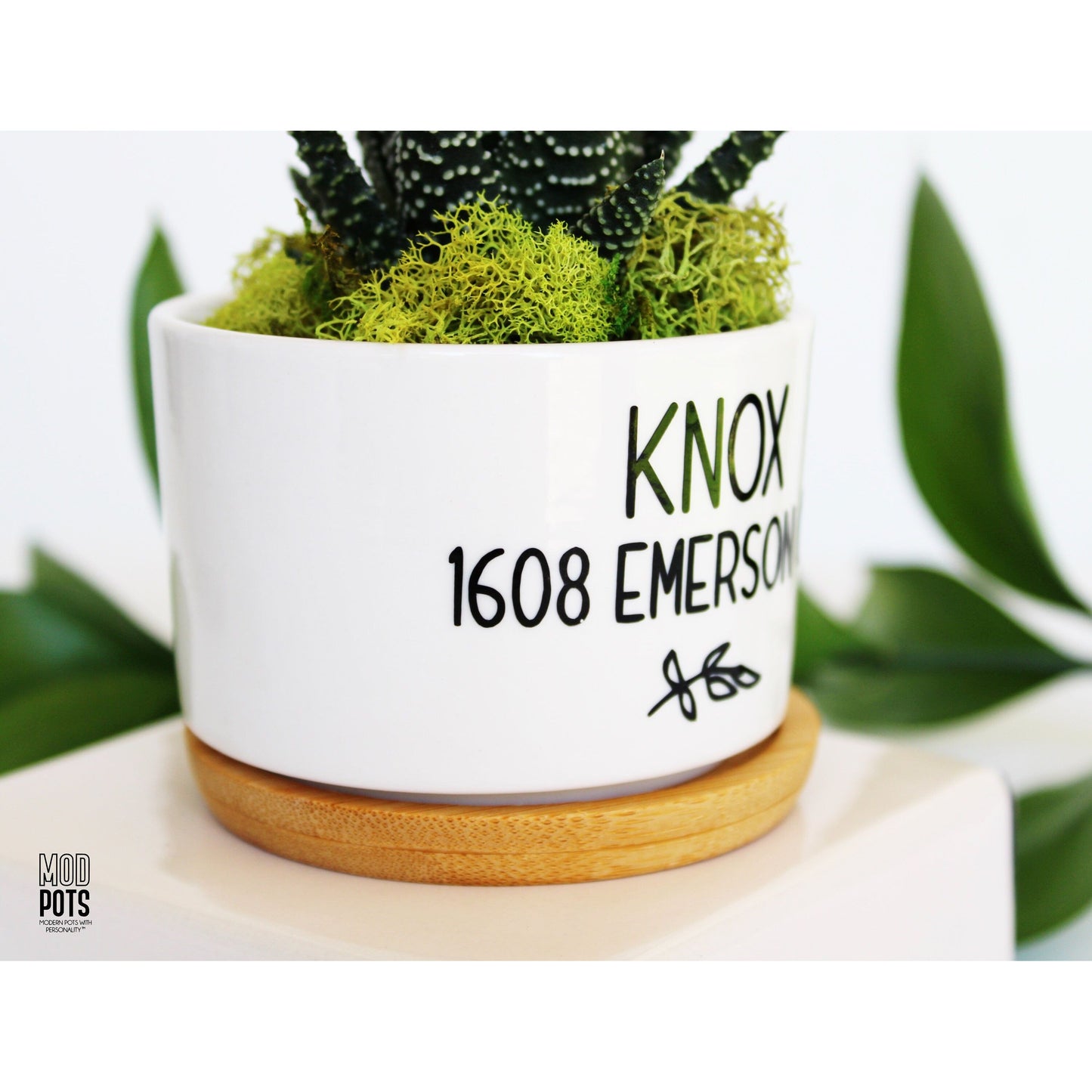 Last Name & Address Planter (Personalizable)