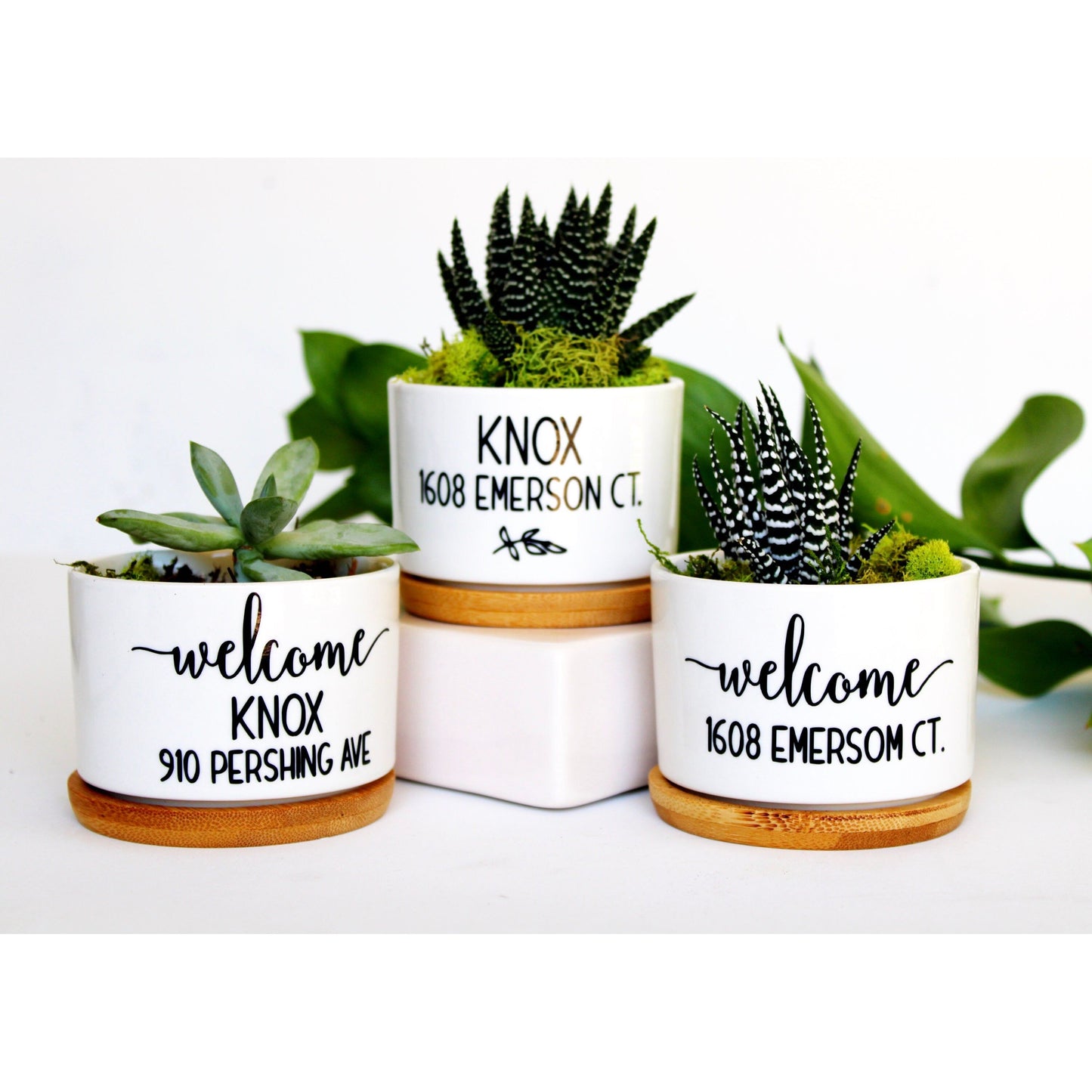 Last Name & Address Planter (Personalizable)