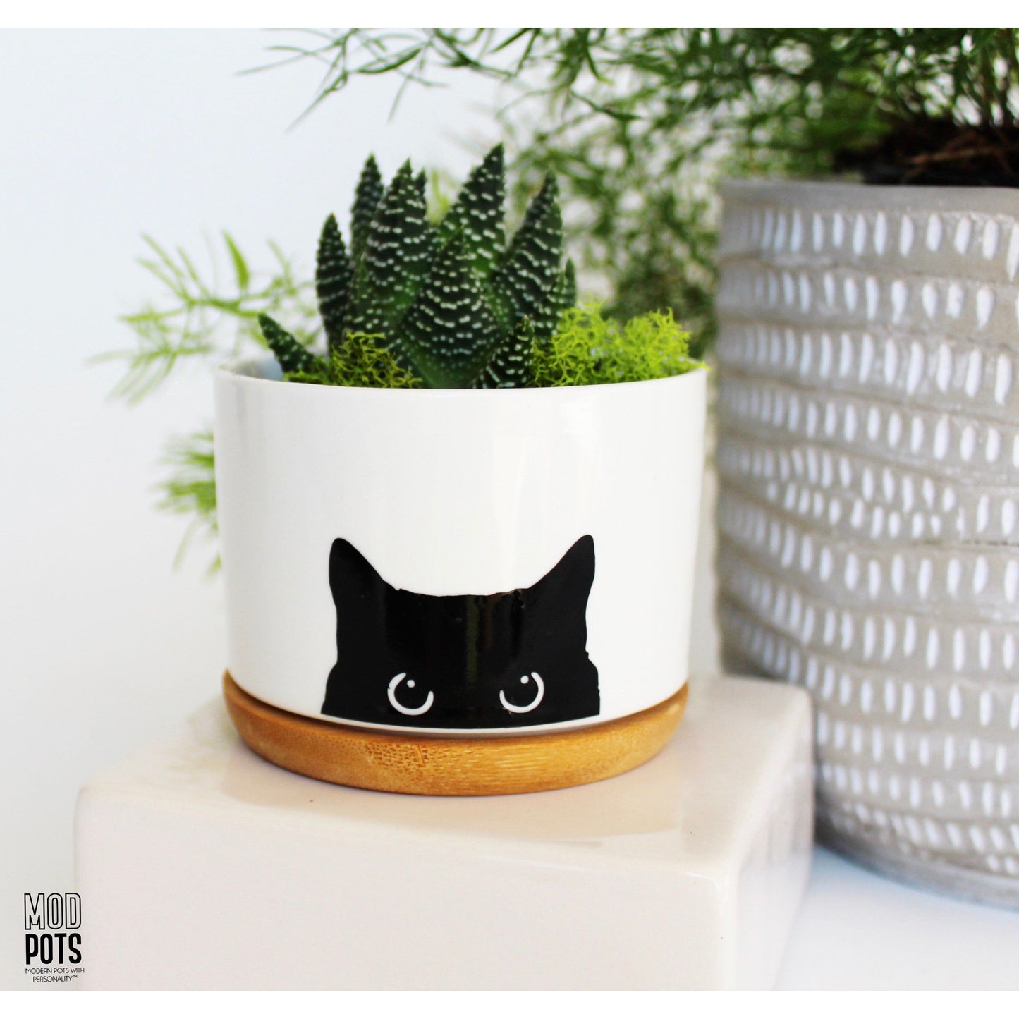 Mod Pots Cat Pot™