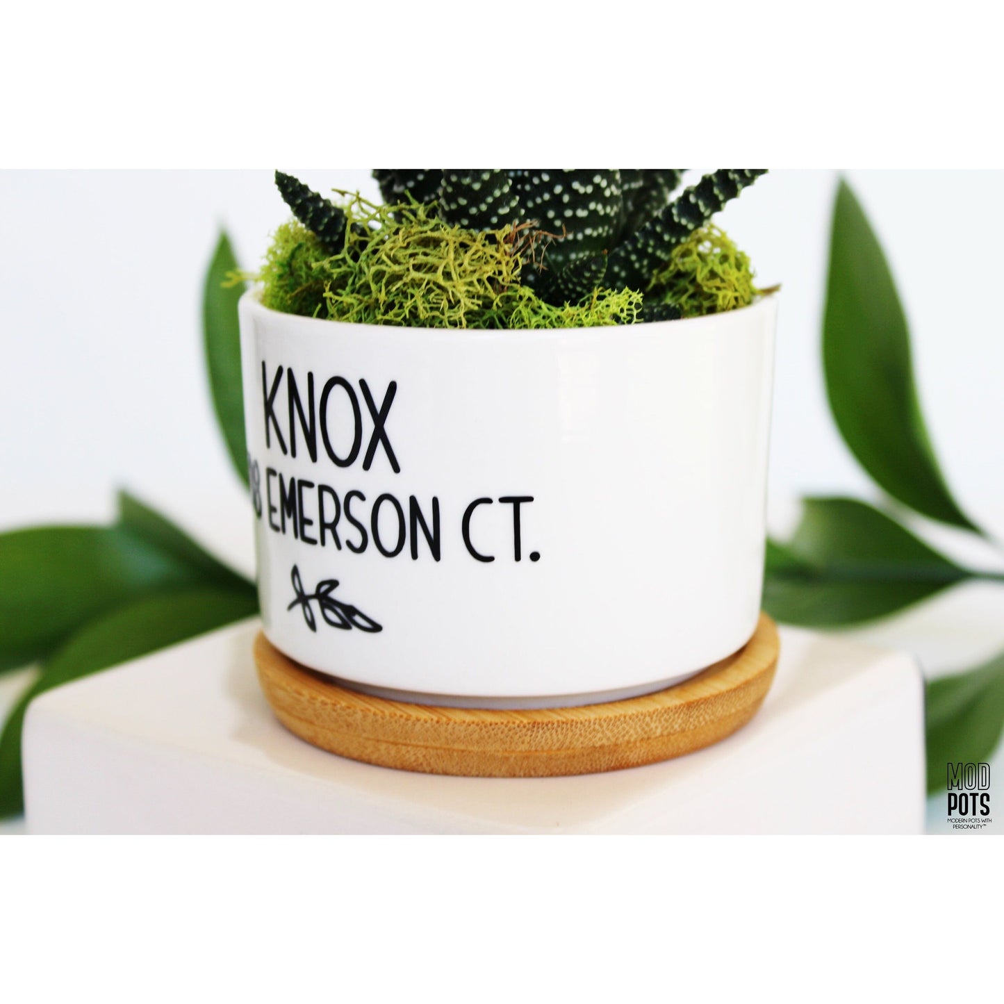 Last Name & Address Planter (Personalizable)