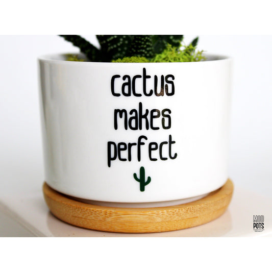 Cactus Makes Perfect