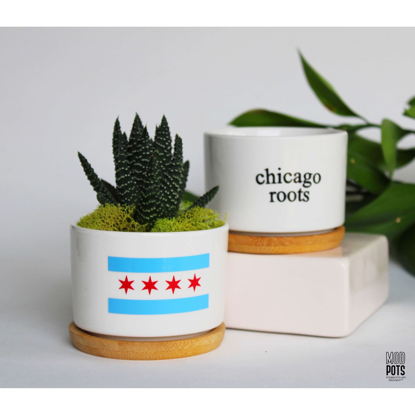 Chicago Flag