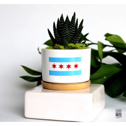 Chicago Flag