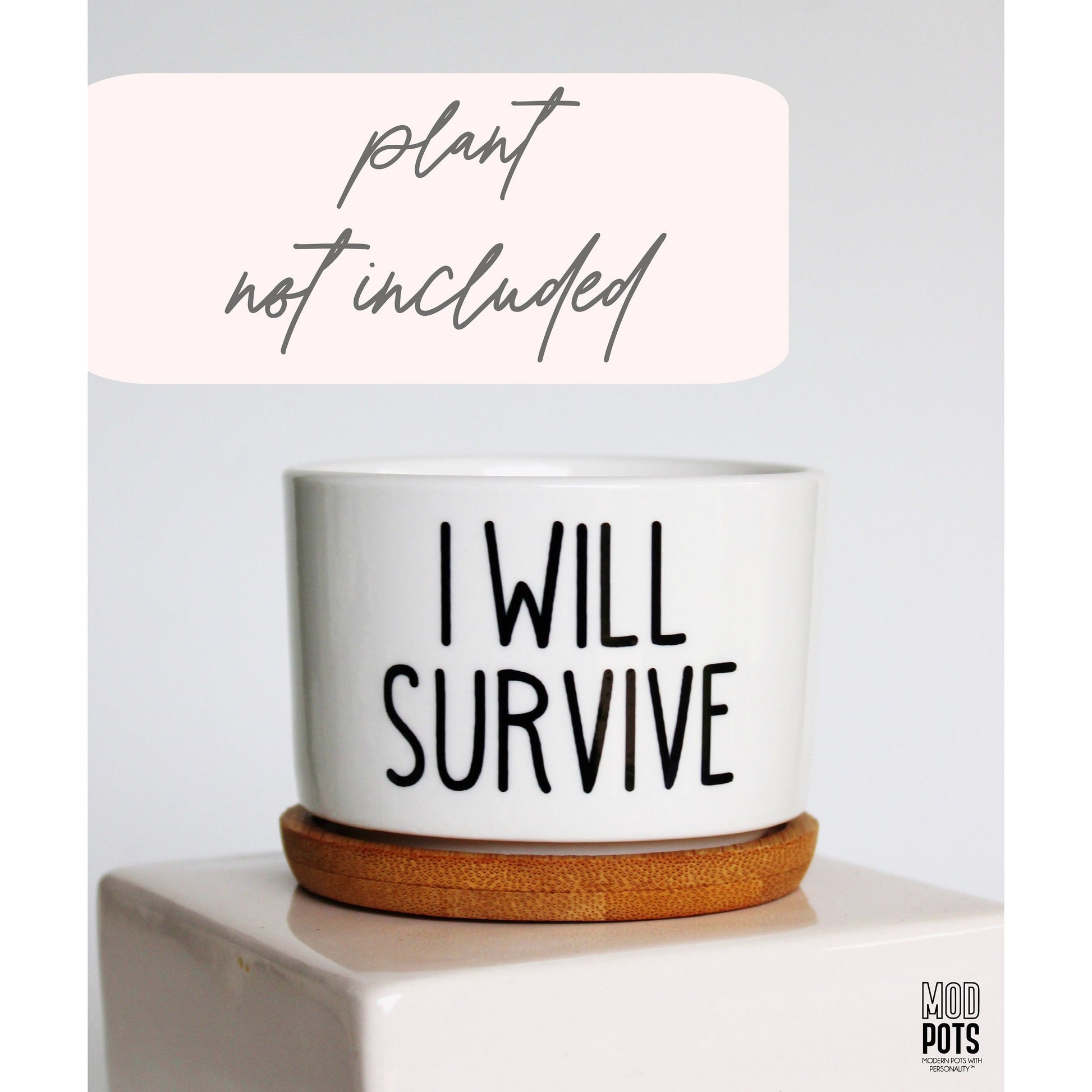 i will survive plant pot I Will Survive – Mod Pots Shop