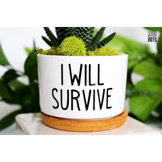 I Will Survive