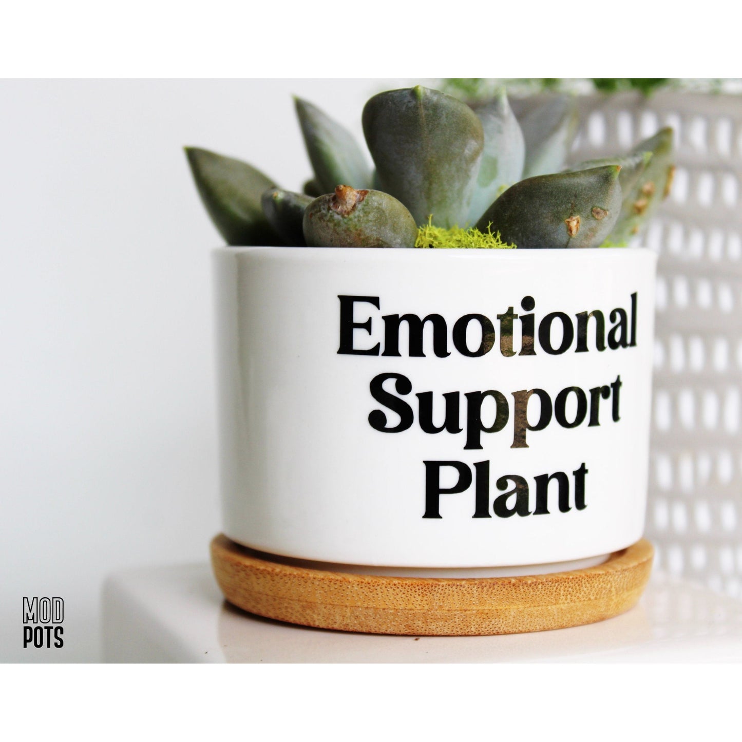 Emotional Support Plant (bubble font)