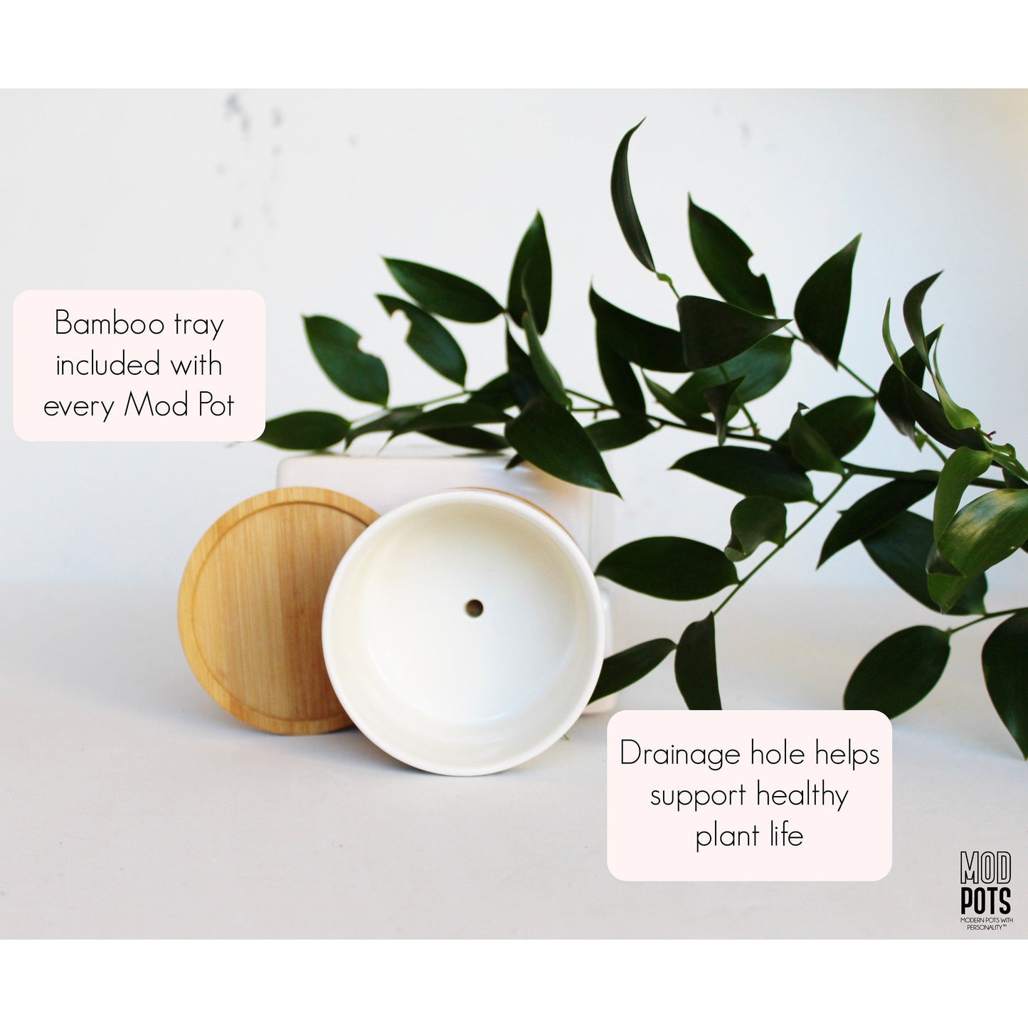 i will survive plant pot I Will Survive – Mod Pots Shop
