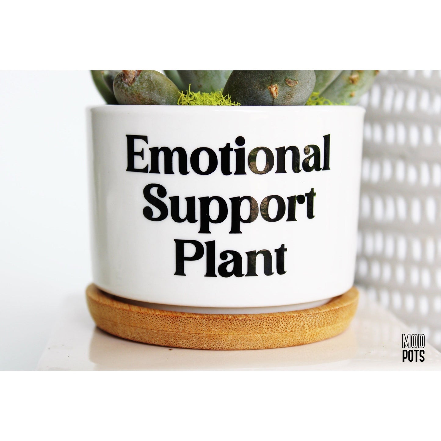 Emotional Support Plant (bubble font)