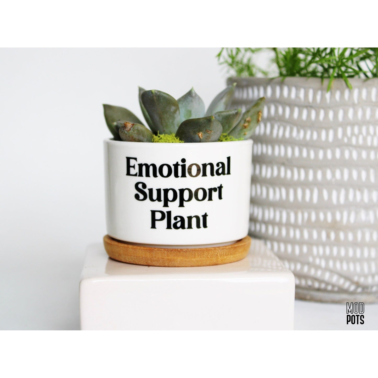 Emotional Support Plant (bubble font)