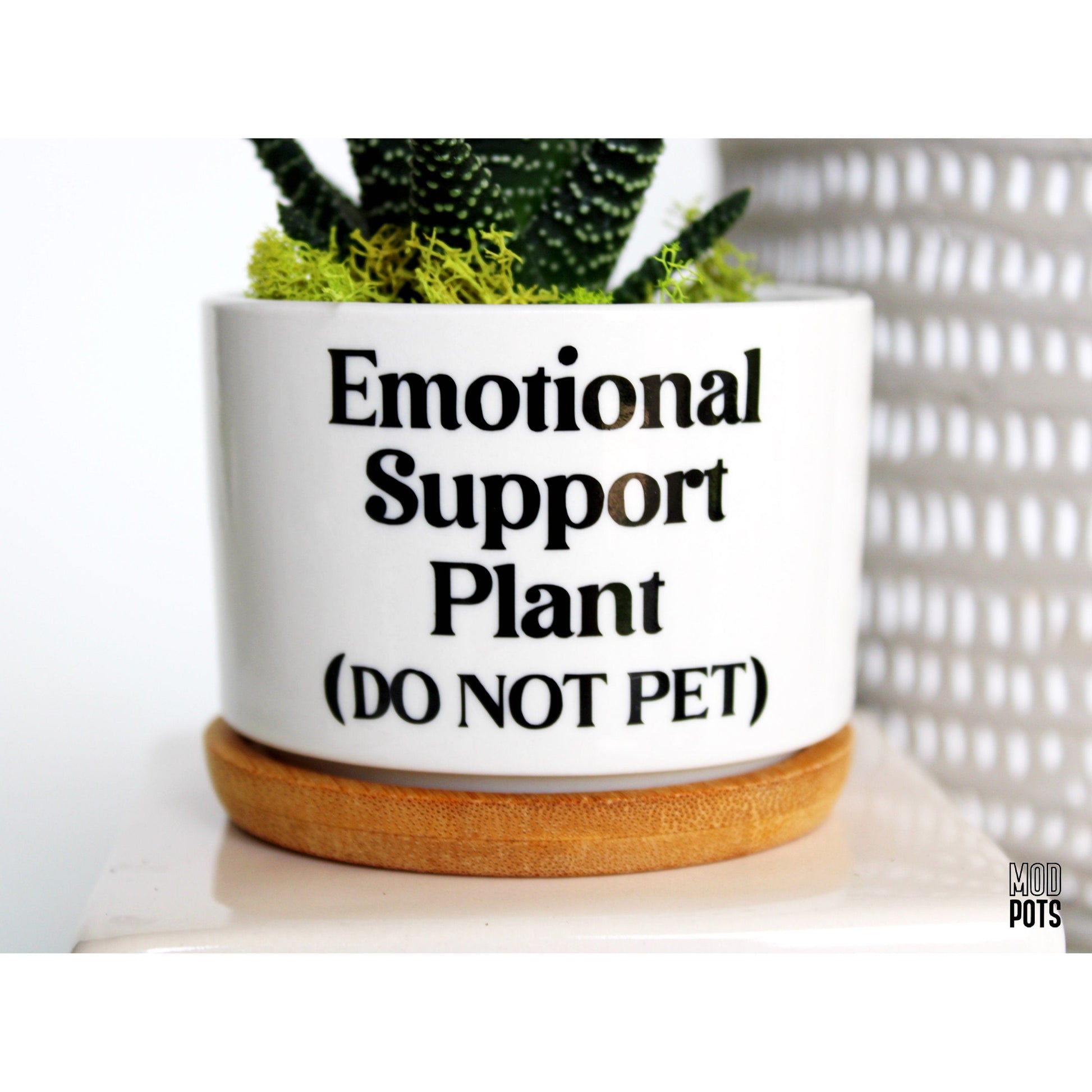 emotional support plant pot Emotional Support Plant (DO NOT PET) – Mod Pots Shop