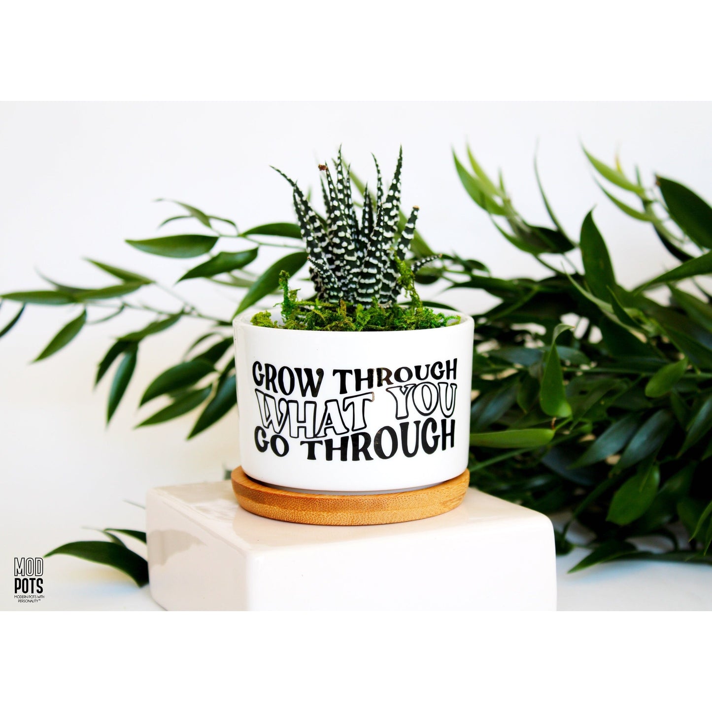 Grow Through What You Go Through (groovy font)