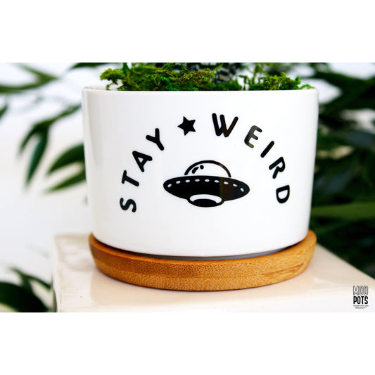 Stay Weird (spaceship)