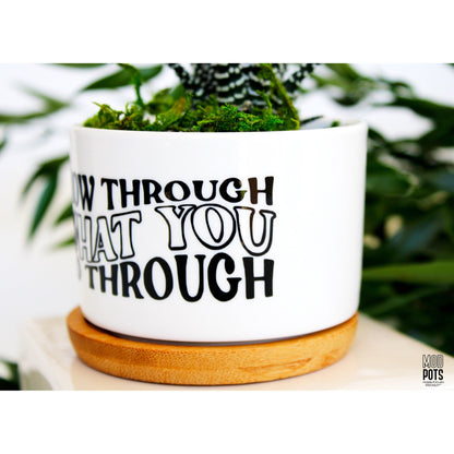 Grow Through What You Go Through (groovy font)