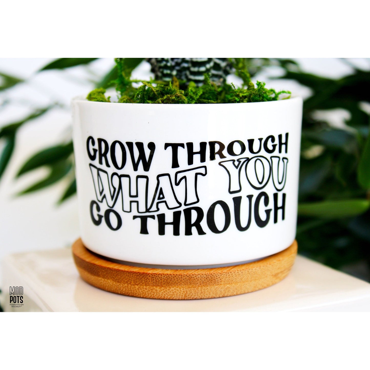 Grow Through What You Go Through (groovy font)