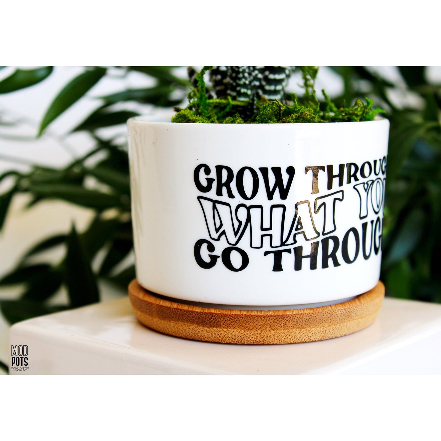 Grow Through What You Go Through (groovy font)