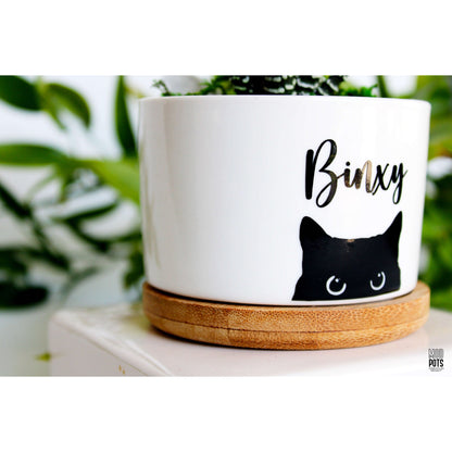 Personalized Cat Pot (Personalizable)