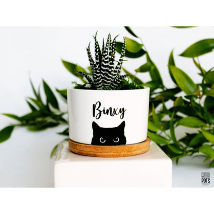 Personalized Cat Pot (Personalizable)