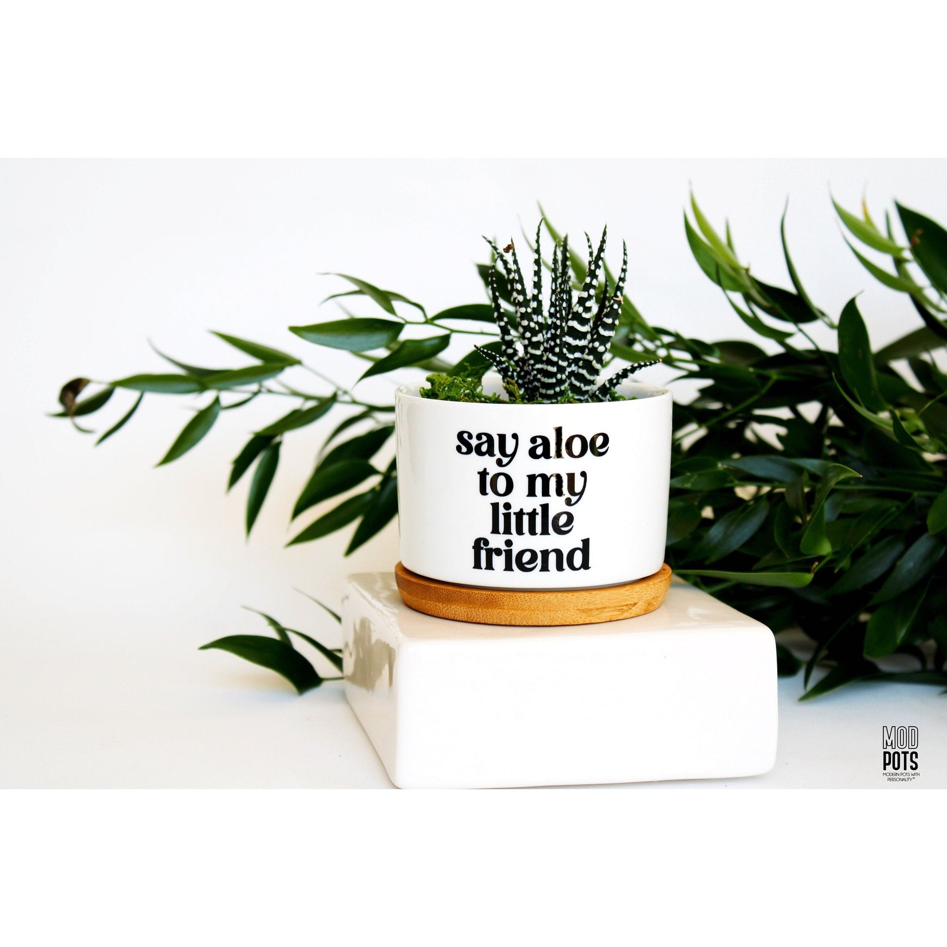 say aloe to my little friend plant pot Say Aloe To My Little Friend – Mod Pots Shop
