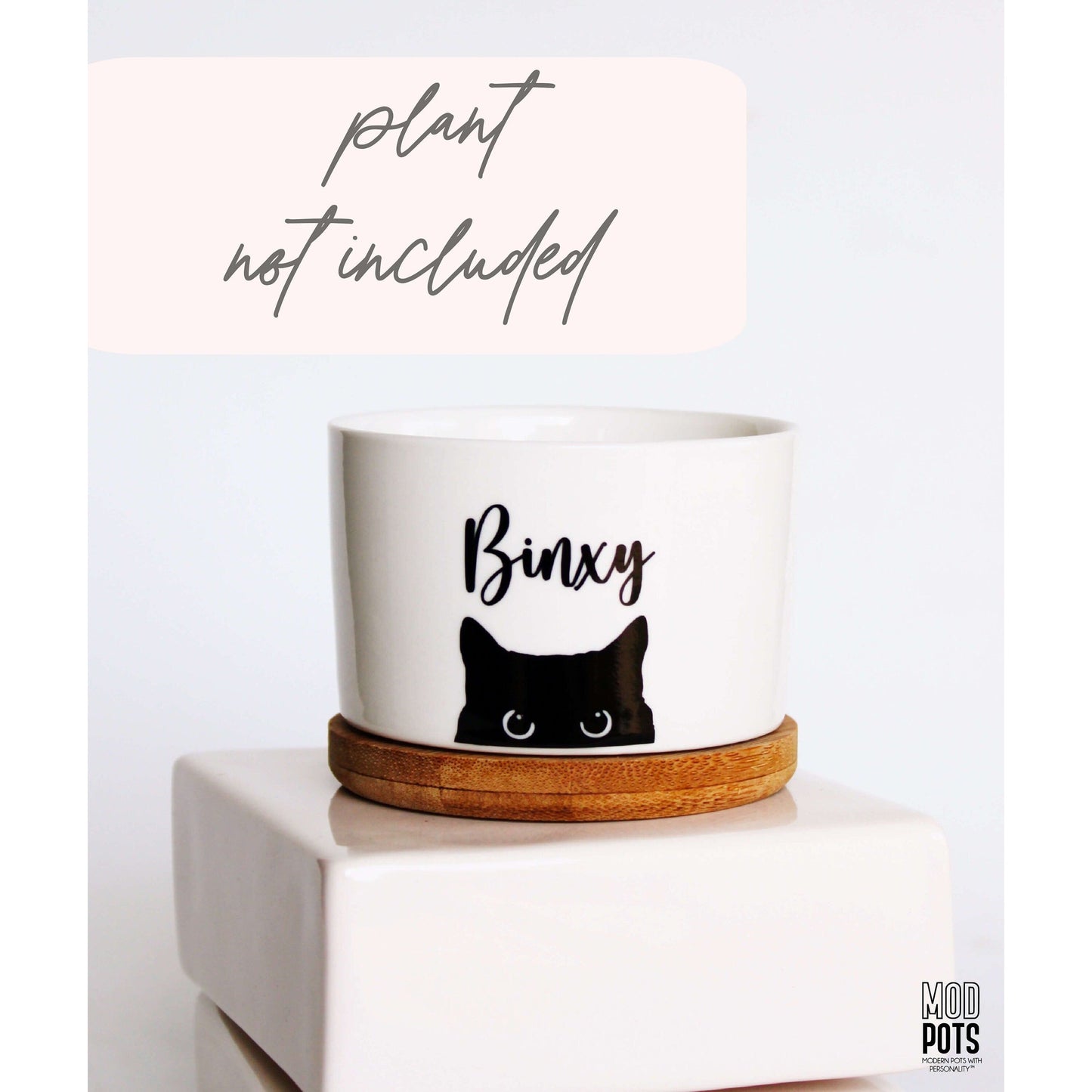 Personalized Cat Pot (Personalizable)