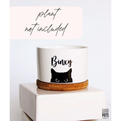 Personalized Cat Pot (Personalizable)