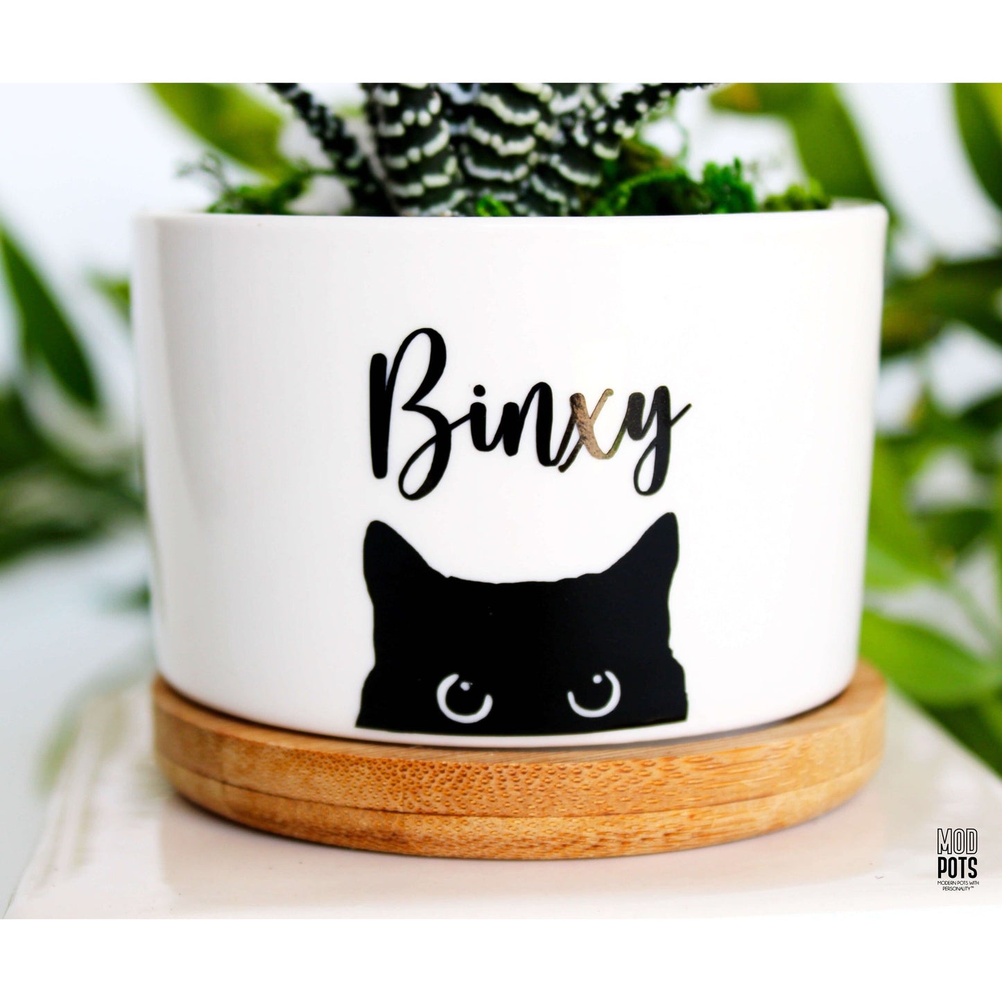 Personalized Cat Pot (Personalizable)