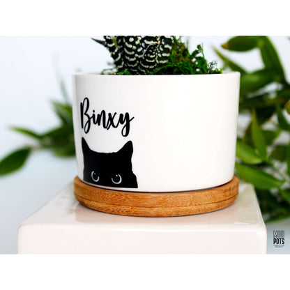 Personalized Cat Pot (Personalizable)