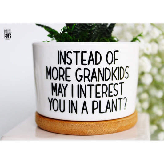 Instead of MORE Grandkids May I Interest You In a Plant?