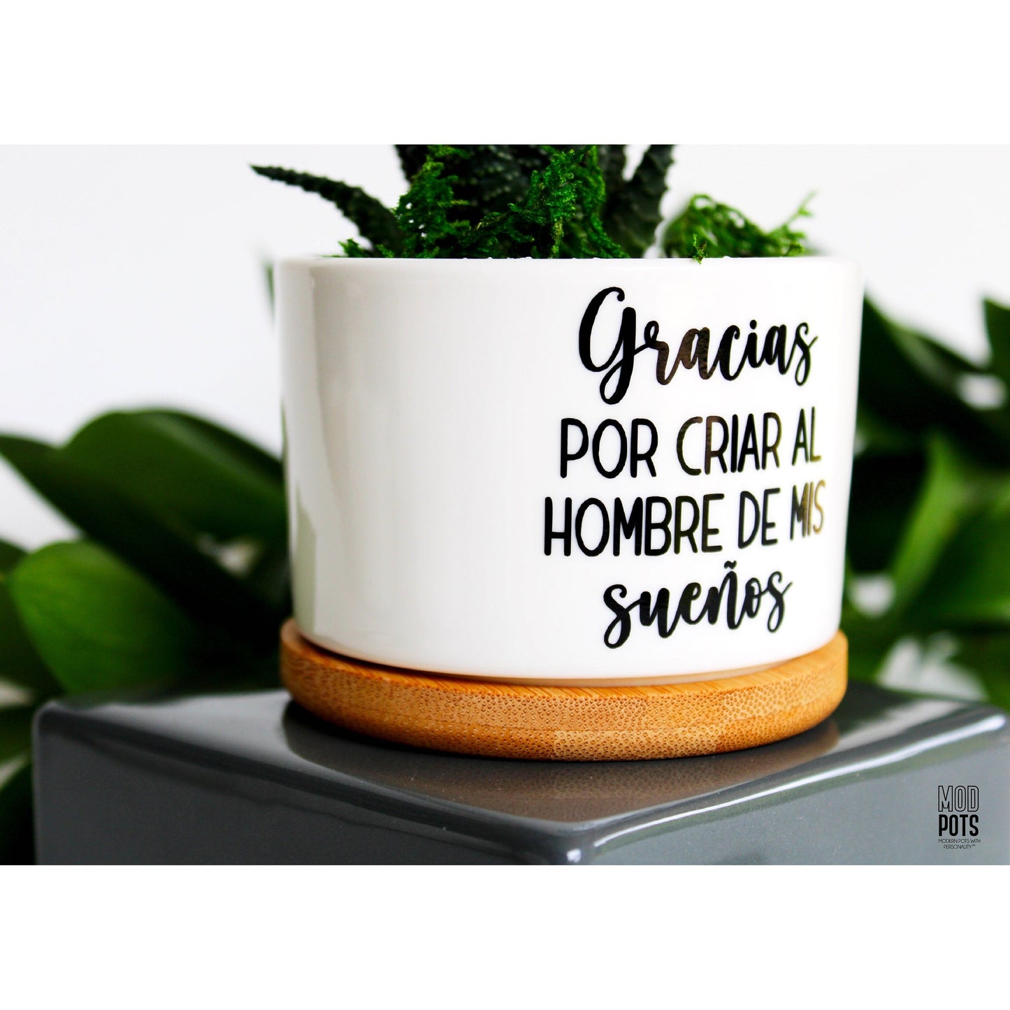 Gracias Por Criar al Hombre De Mis Suenos