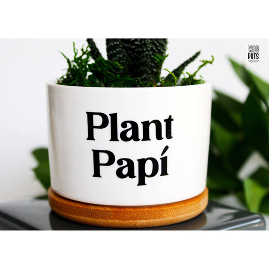 Plant Papi