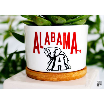 Alabama & Elephant