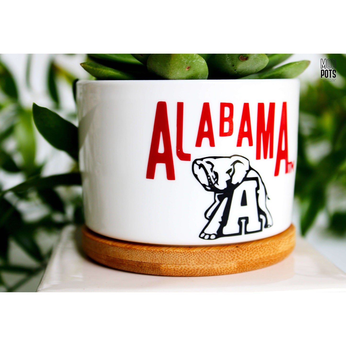 Alabama & Elephant