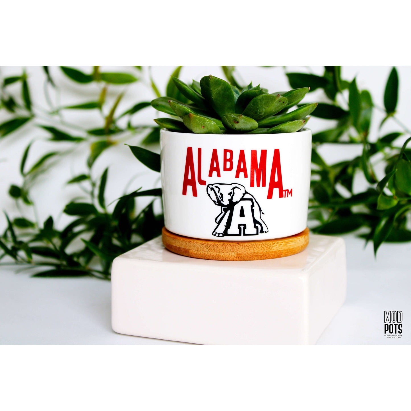 Alabama & Elephant